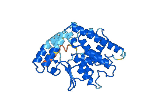 Recombinant Human GDAP1 Protein, N-His