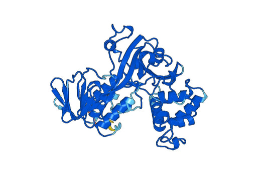 Recombinant Human GDI2 Protein, N-His