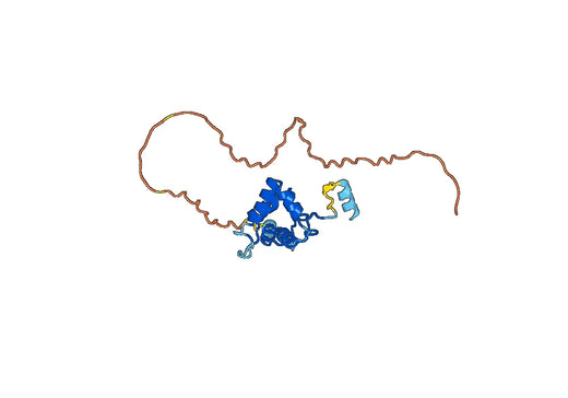 Recombinant Human GFRA2 Protein, N-His