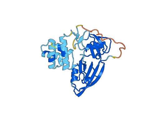 Recombinant Human GIPC1 Protein, N-His