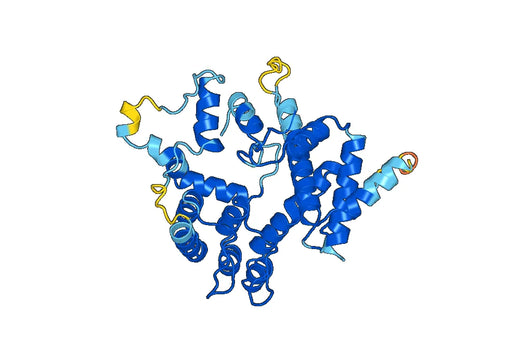 Recombinant Human GIT2 Protein, N-His