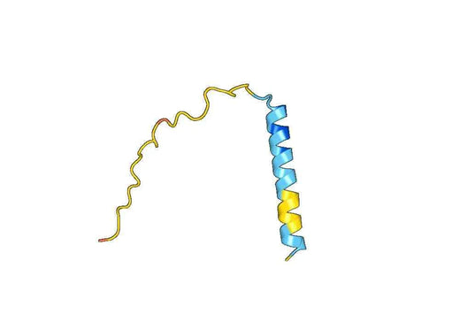Recombinant Human GJB1 Protein, N-GST & C-His