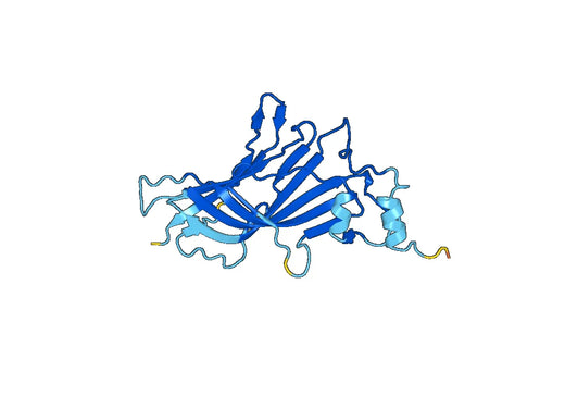 Recombinant Human GLRA1 Protein, N-His