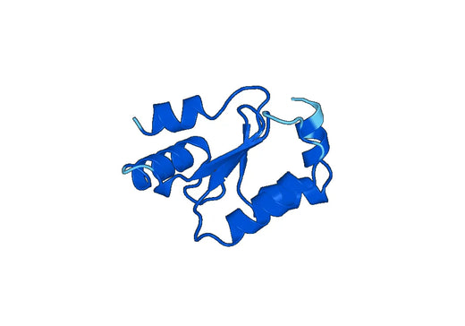 Recombinant Human GLRX Protein, N-His