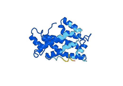 Recombinant Human GLTP, N-GST