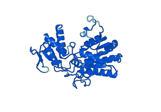 Recombinant Human GMDS Protein, N-His