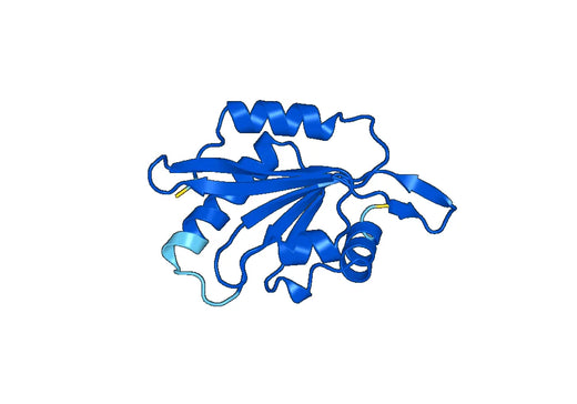 Recombinant Human GMFG Protein, N-His-SUMO