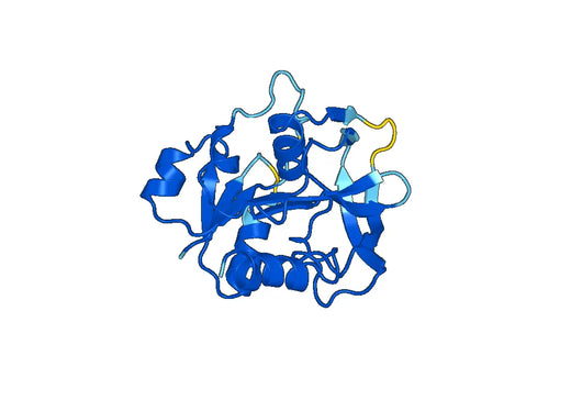 Recombinant Human GMPS Protein, N-His