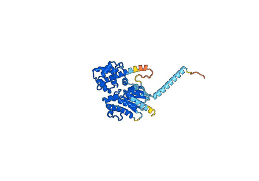 Recombinant Human GNAS, N-His