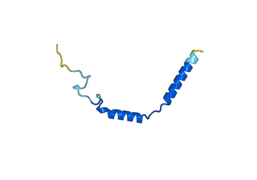 Recombinant Human GNG2 Protein, N-His-SUMO