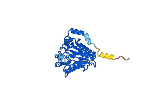Recombinant Human GNPDA1 Protein, N-His