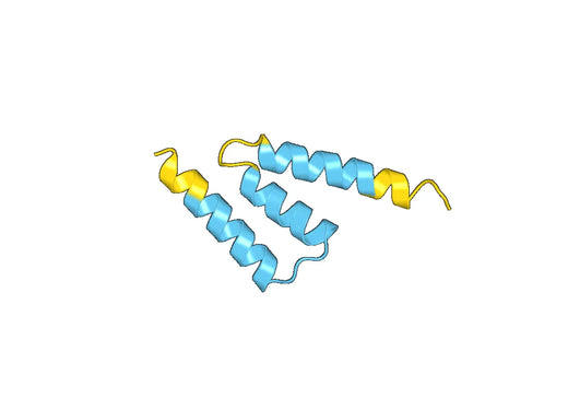 Recombinant Human GOLGA1 Protein, N-His-SUMO