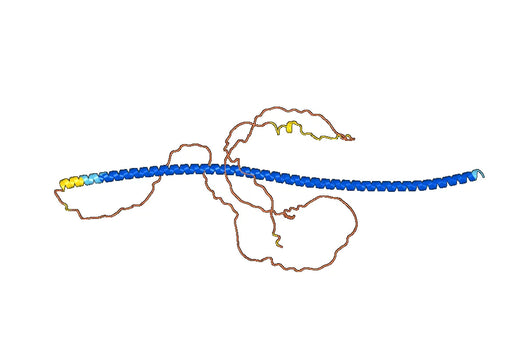 Recombinant Human GOLM1, N-His