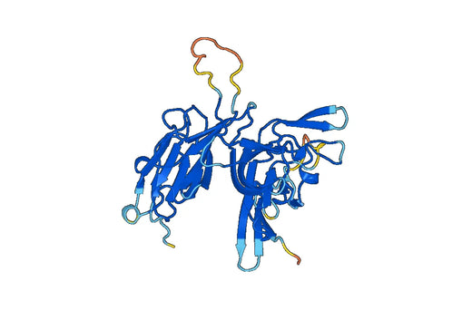 Recombinant Human GPLD1, N-His