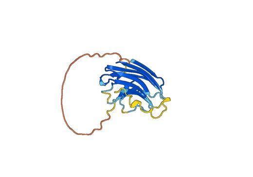 Recombinant Human GPR107 Protein, N-His