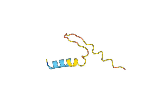 Recombinant Human GPR183 Protein, N-His-SUMO