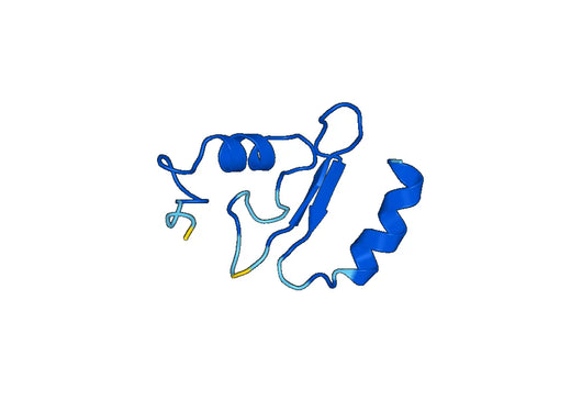 Recombinant Human GPX4/PHGPx Protein, N-GST