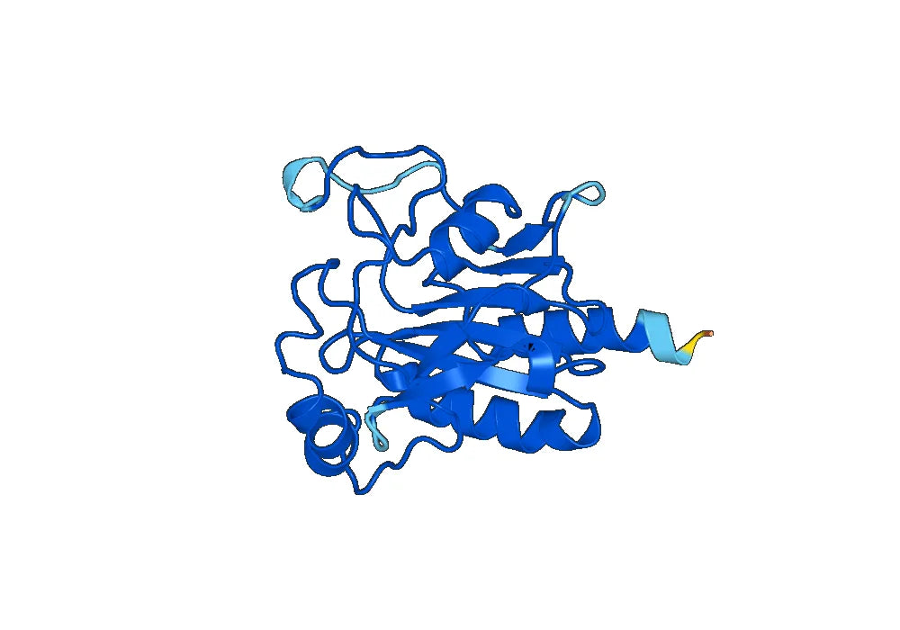 Recombinant Human GPX5 Protein, N-His