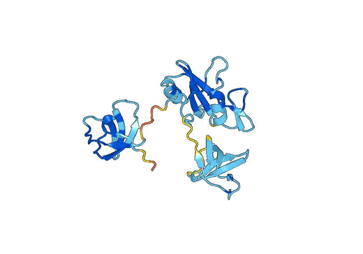 Recombinant Human GRB2, N-His