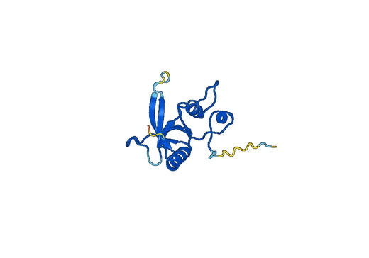 Recombinant Human GRIN2A, N-His