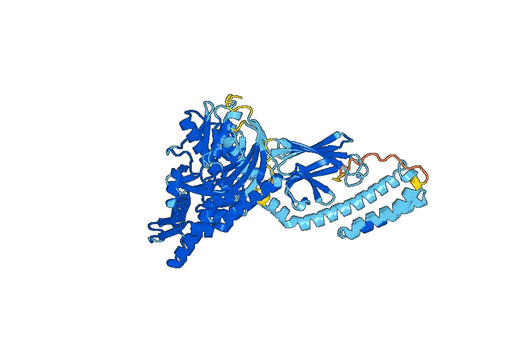 Recombinant Human GRP78/HSPA5 Protein, N-His
