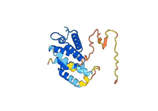 Recombinant Human GSDMB Protein, N-His