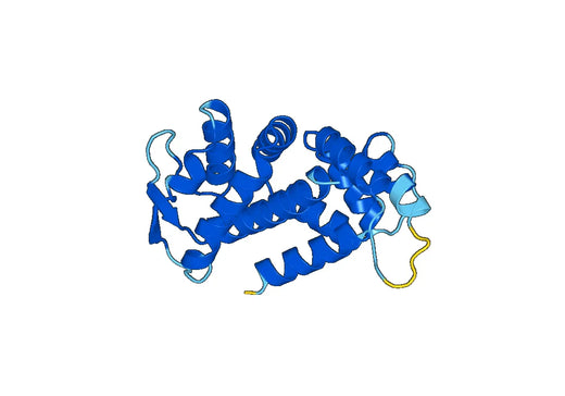 Recombinant Human GSDMC Protein, N-His