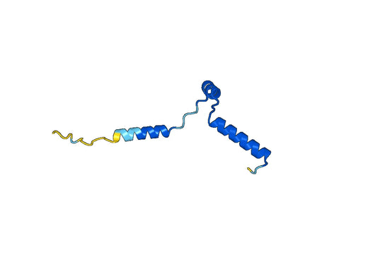 Recombinant Human GSE1 Protein, N-His-SUMO & C-Strep