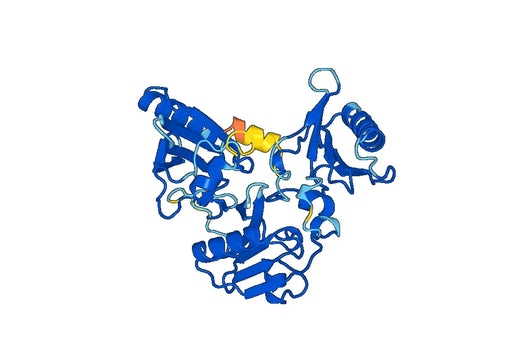 Recombinant Human GSN, N-His