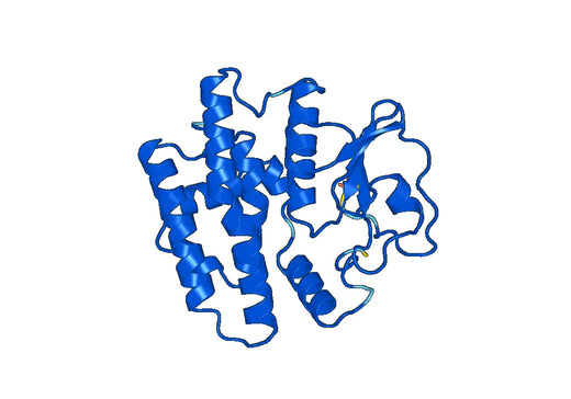 Recombinant Human GSTO2 Protein, N-His