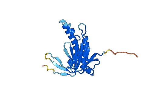 Recombinant Human GUCY1B1, N-His