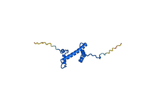 Recombinant Human H2AC6, N-GST