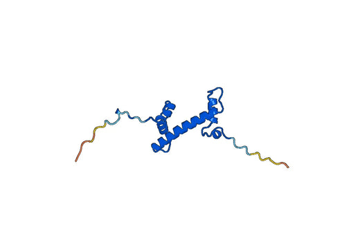 Recombinant Human H2AJ, N-His