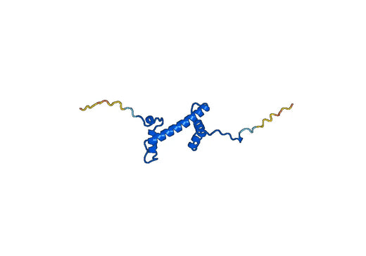 Recombinant Human H2AW, N-GST