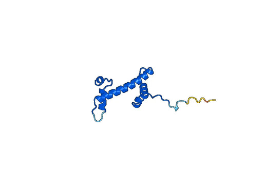 Recombinant Human H2AZ1 Protein, N-His