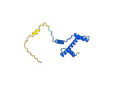 Recombinant Human H3C15, N-His