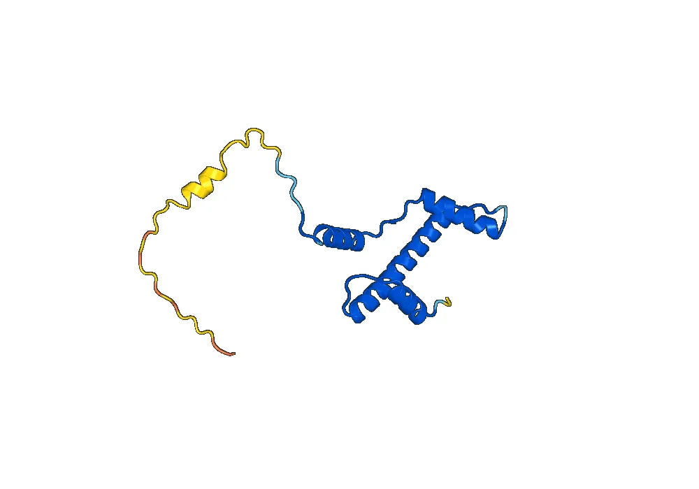 Recombinant Human H3C15, N-His