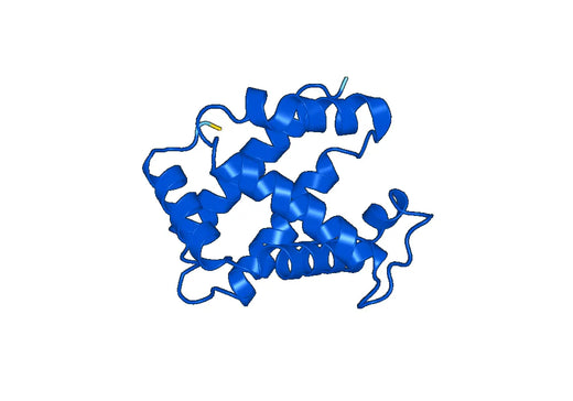 Recombinant Human HBA1, N-His