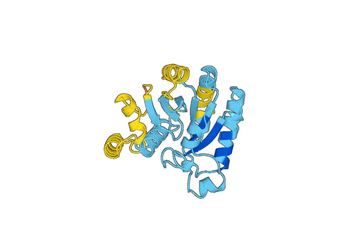 Recombinant Human HBS1L Protein, N-His