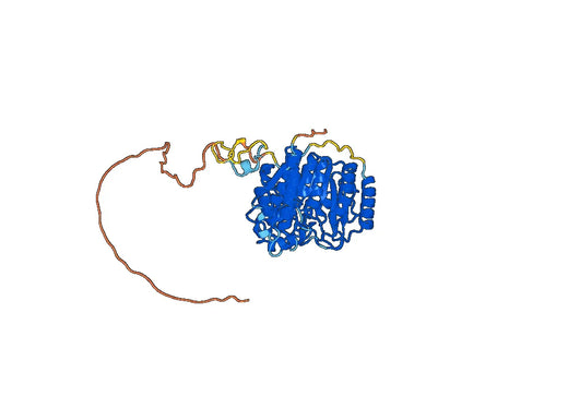 Recombinant Human HDAC1 Protein, N-His