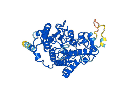 Recombinant Human HDAC5, N-His