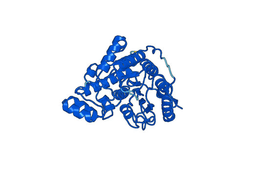 Recombinant Human HDAC6, N-His