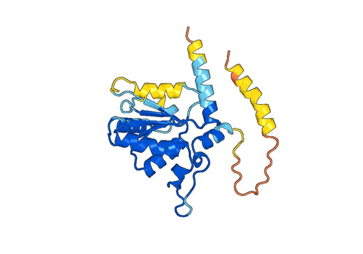Recombinant Human HELLS Protein, N-His