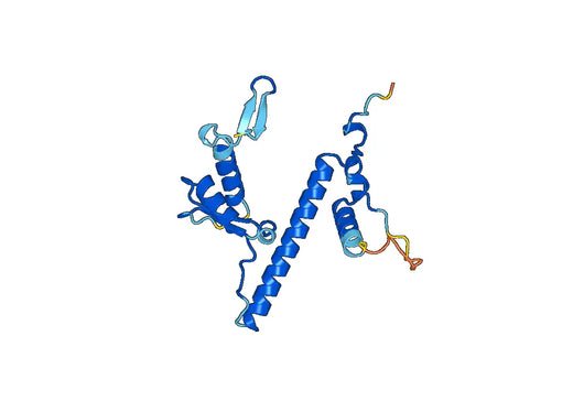 Recombinant Human HERC4 Protein, N-His-SUMO
