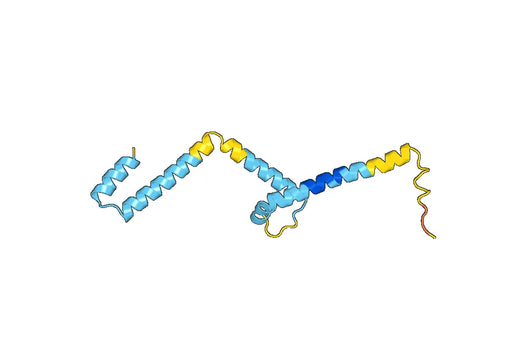 Recombinant Human HES5 Protein, N-His