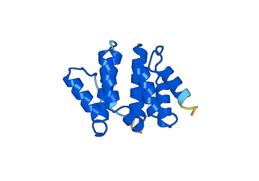 Recombinant Human HGS Protein, N-His