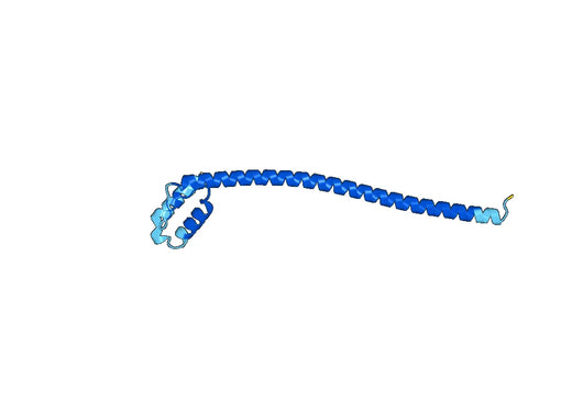 Recombinant Human HMG20A Protein, N-His