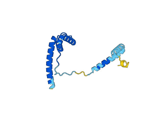 Recombinant Human HMGB4, N-His