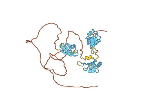 Recombinant Human HNRNPH1 Protein, N-His-MBP