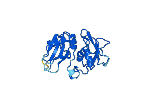 Recombinant Human HNRNPL Protein, N-His